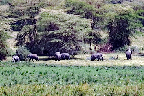 Kenia (224)